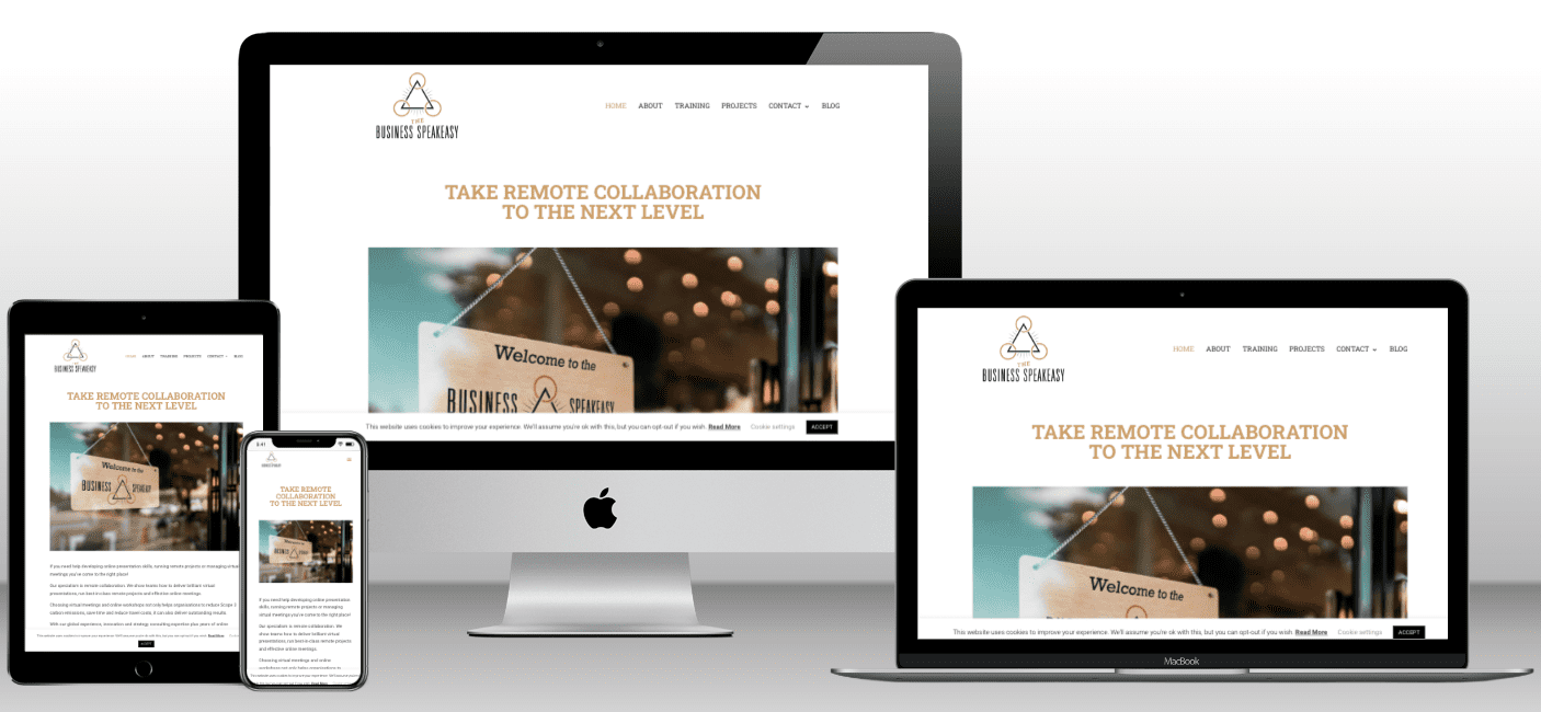 Business Speakeasy Website